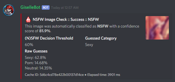 NSFW Images Detection Output Example